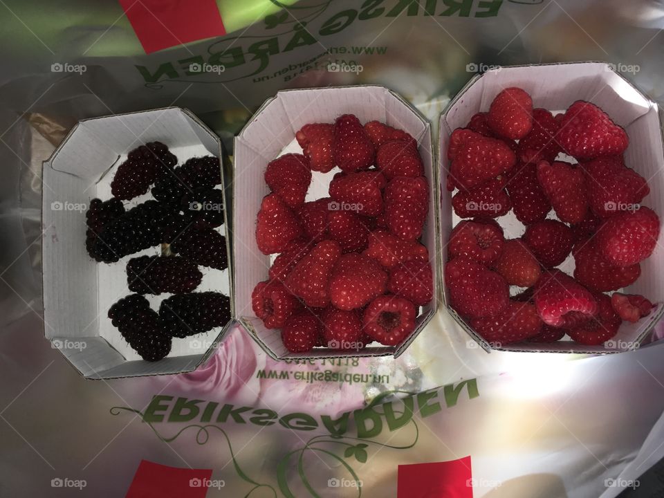 raspberries 