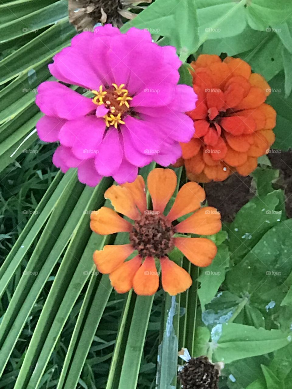 Quando as cores se misturam e você gosta! 