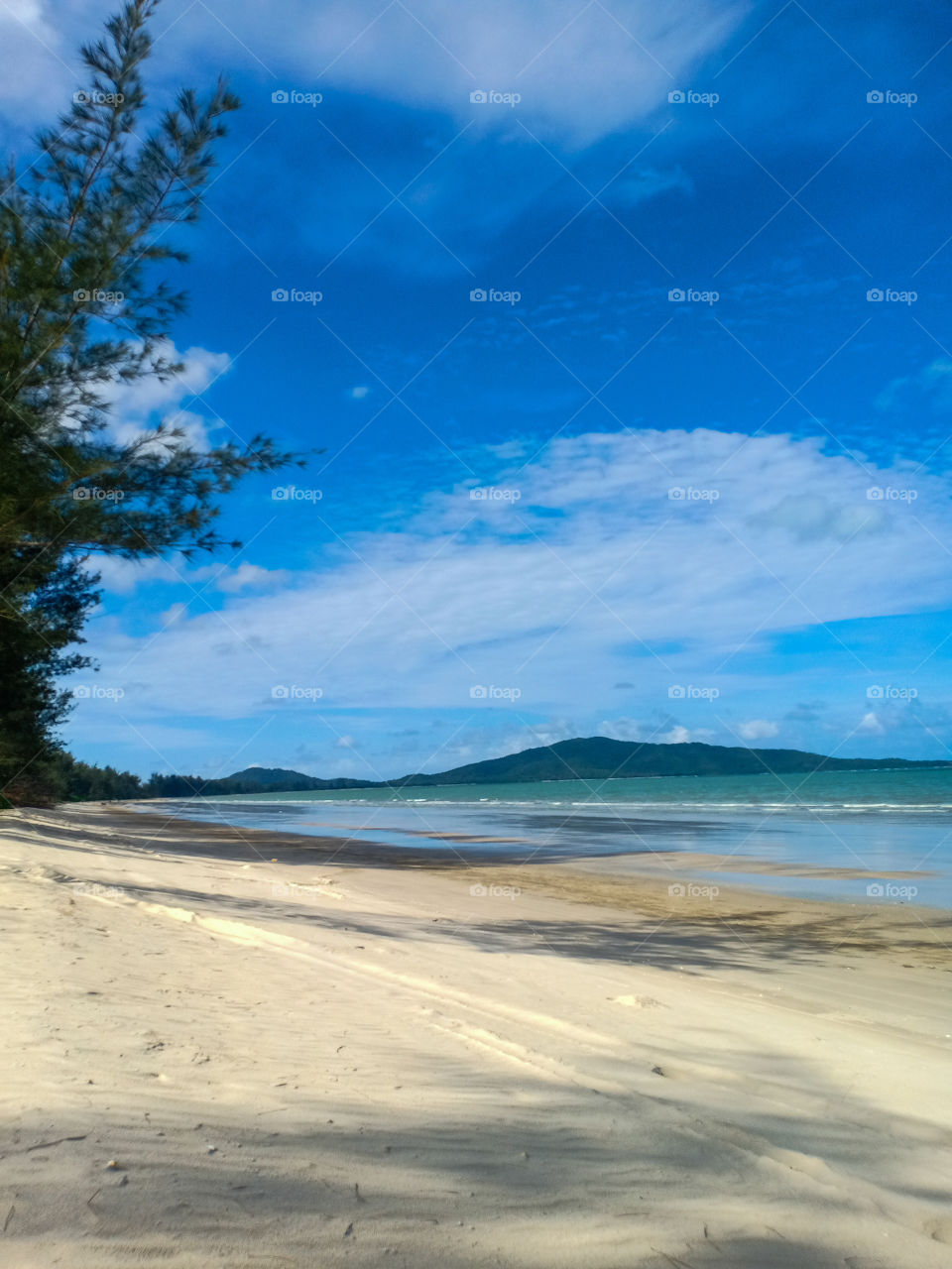 For your best 2020 photo!