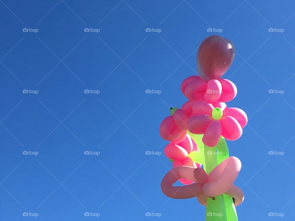 Balloons 