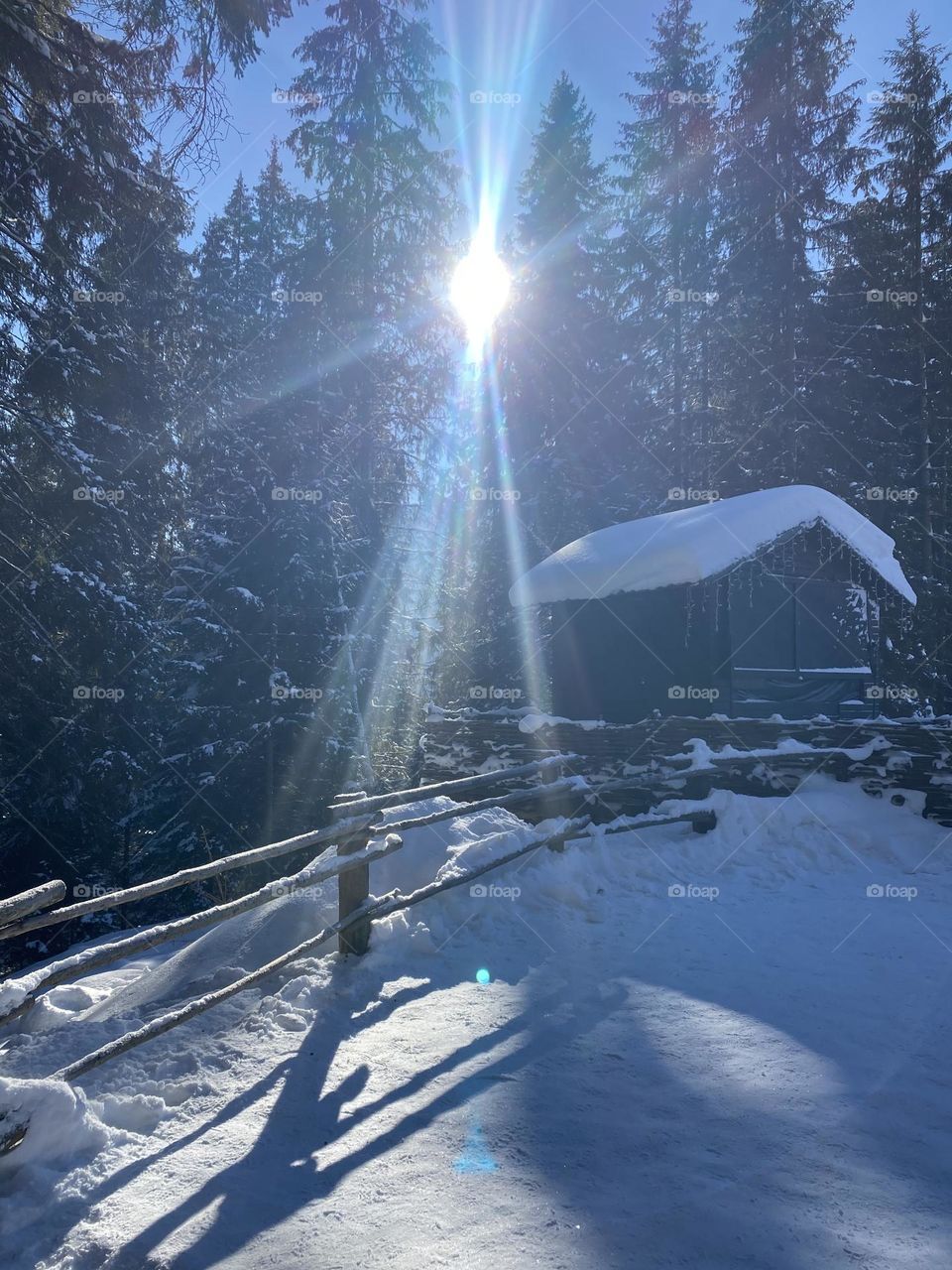 Old house in forest snow winter 