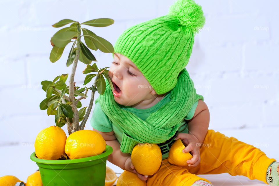 boy wants to eat a tree