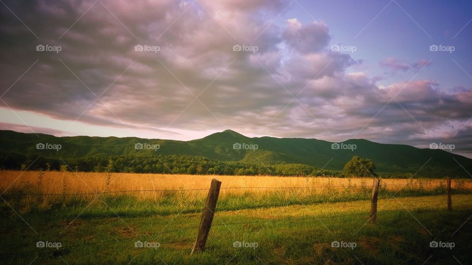 beautiful scenery from travel in Tennessee.   gorgeous mountains with beautiful sunlit field