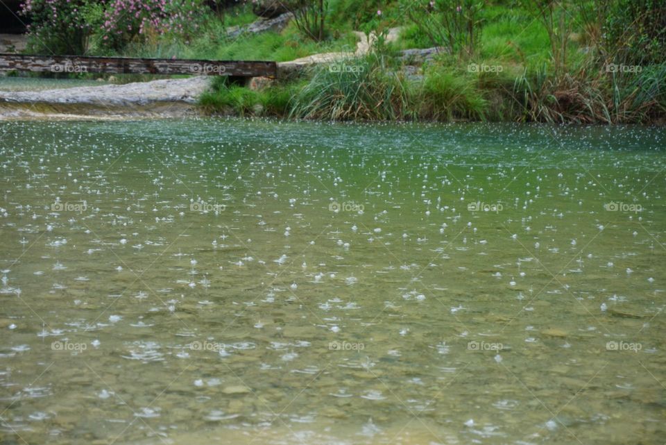 Lake#rain#summer#nature