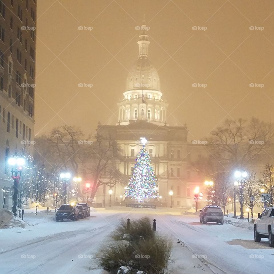Michigan capital in winter