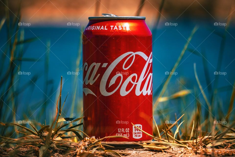 Coke a cola can propped in front of gorgeous lake.