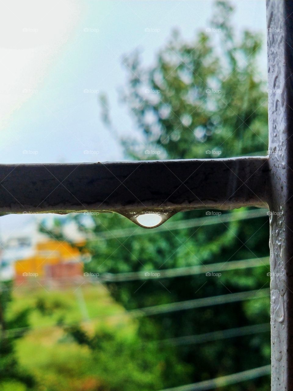 Enjoying the beautiful scenery from my room's window.📸 You don't have to get wet to be good friends with rain! Just feel the rhythms of the raindrops in your soul!💫🌧️😍