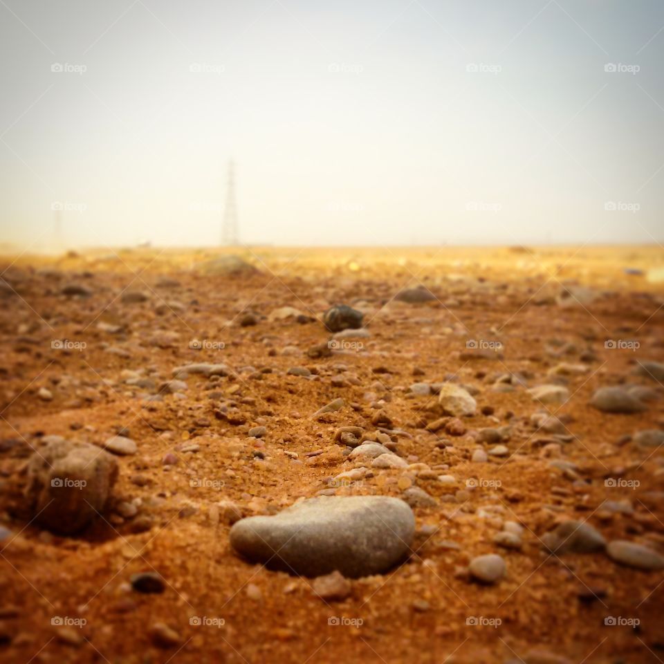 Stoned. I am not alone