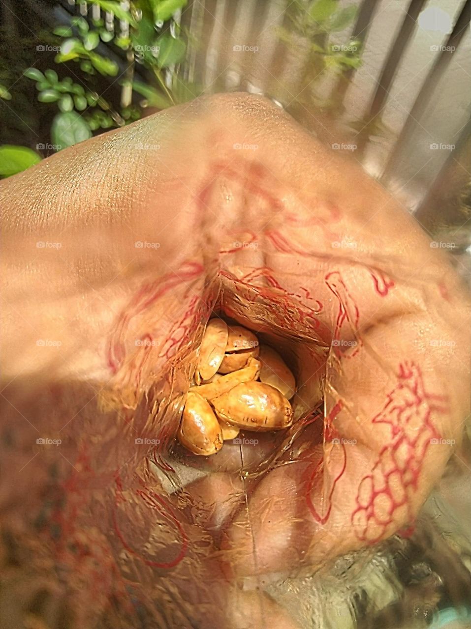 Eat fried peanuts in plastic