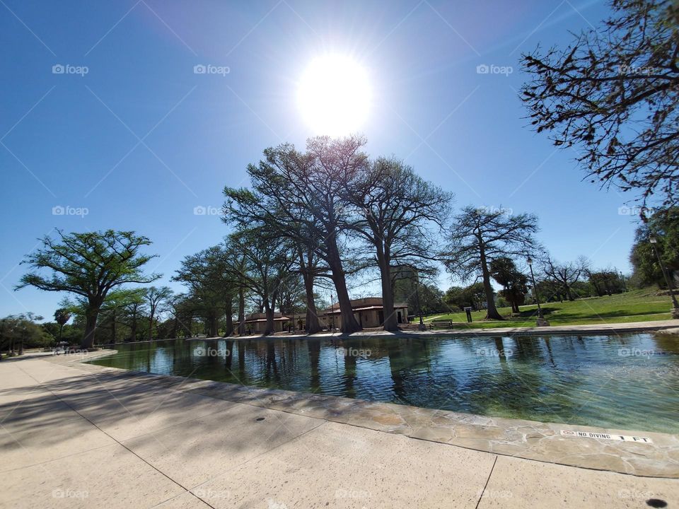 Tranquility by an all natural Spring fed pool at local city park surrounded by mature tall cypress trees on a beautiful sunny day.