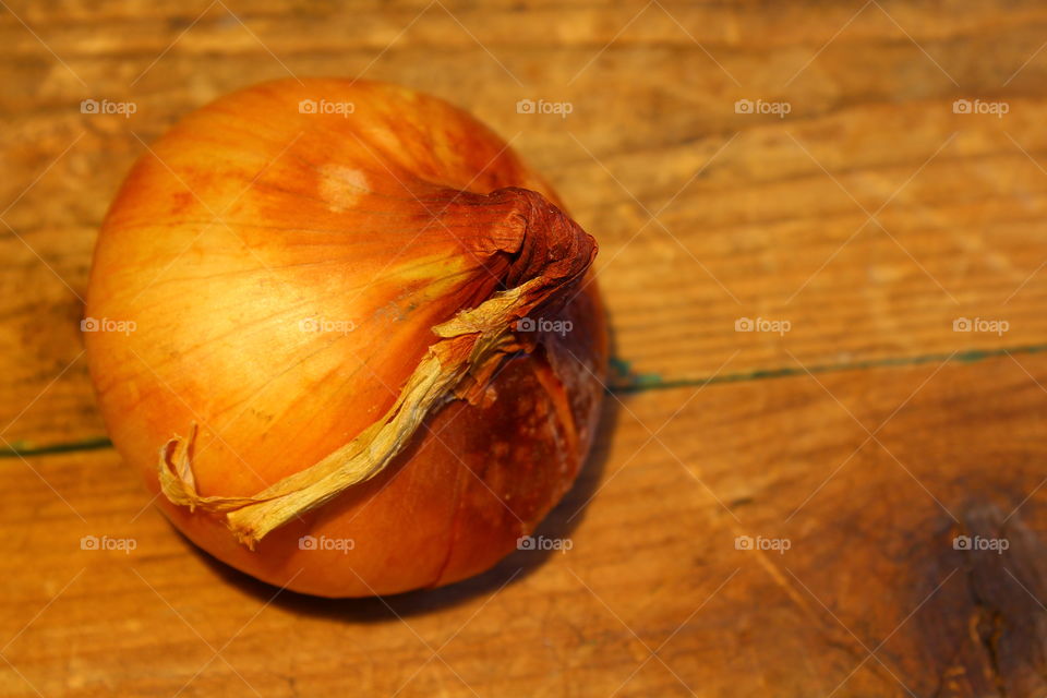 Onion