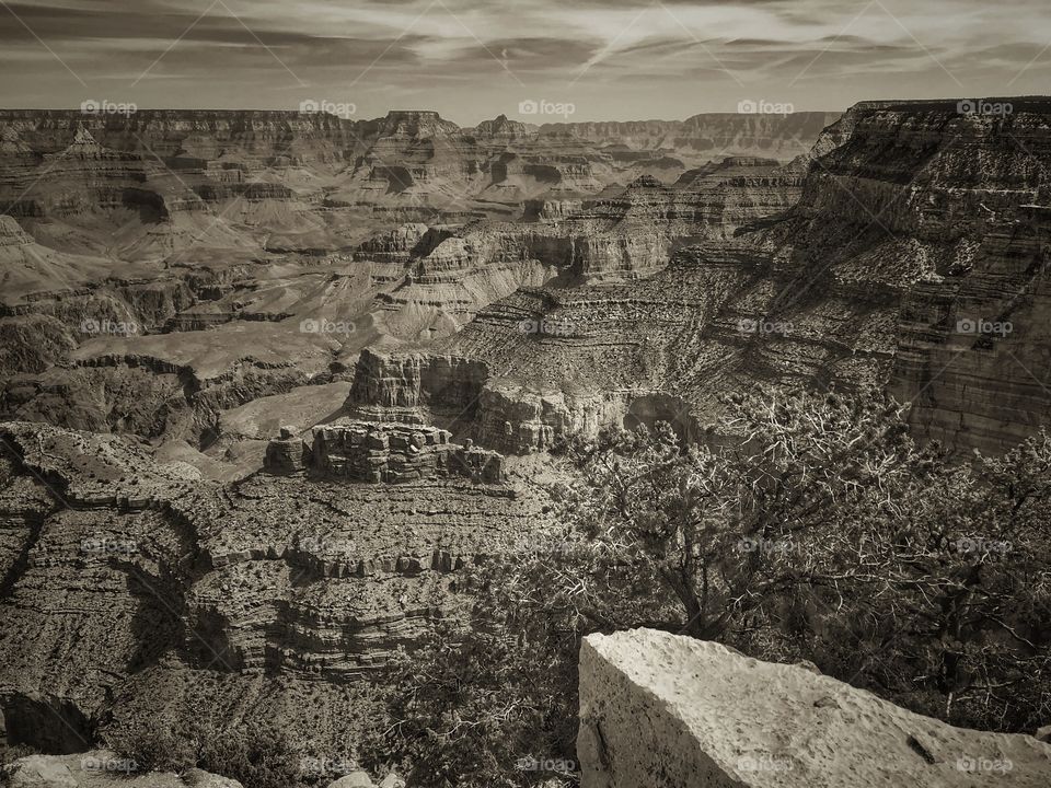 Grand Canyon in Monochrome 