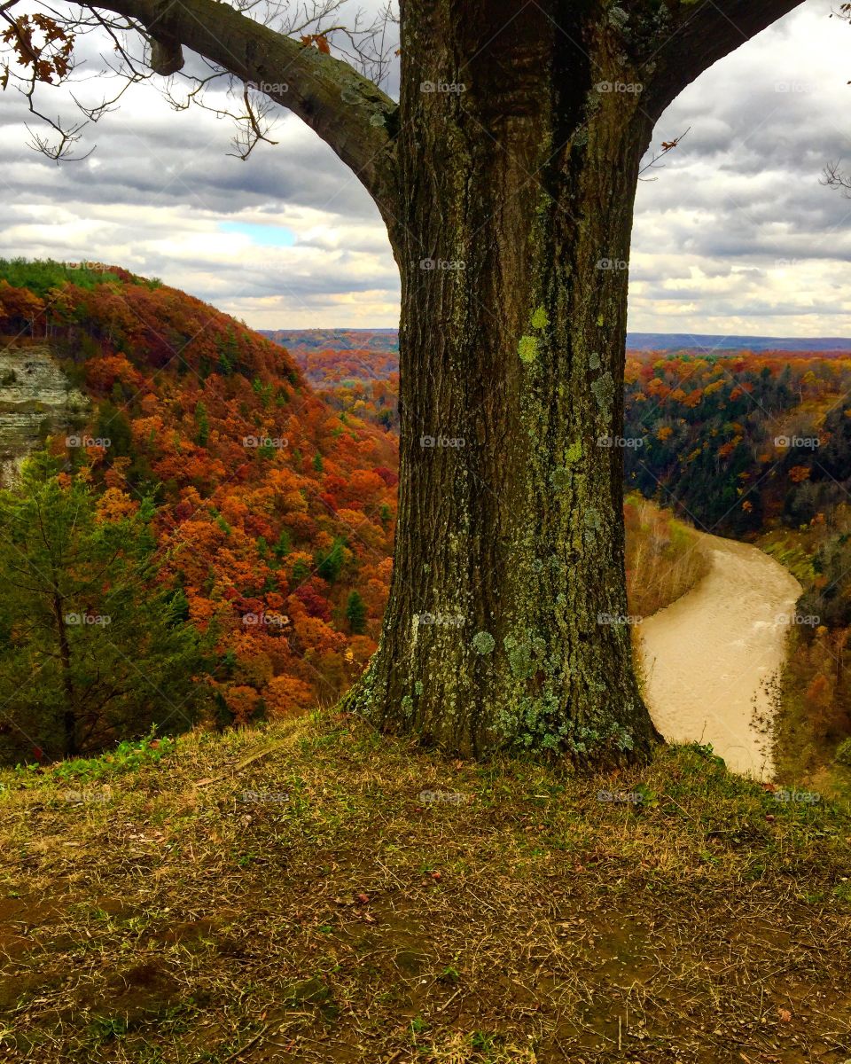 Letchworth State Park in the fall