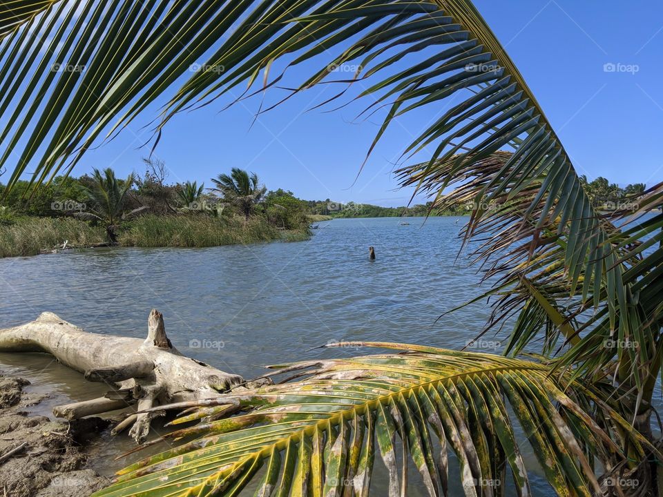 peekaboo- there's water