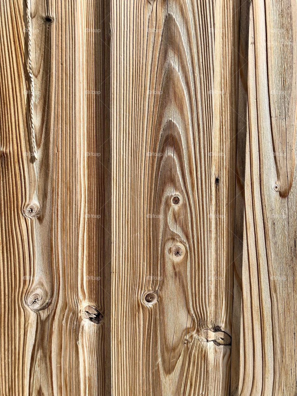 Plank of wood / Texture / 🇫🇷