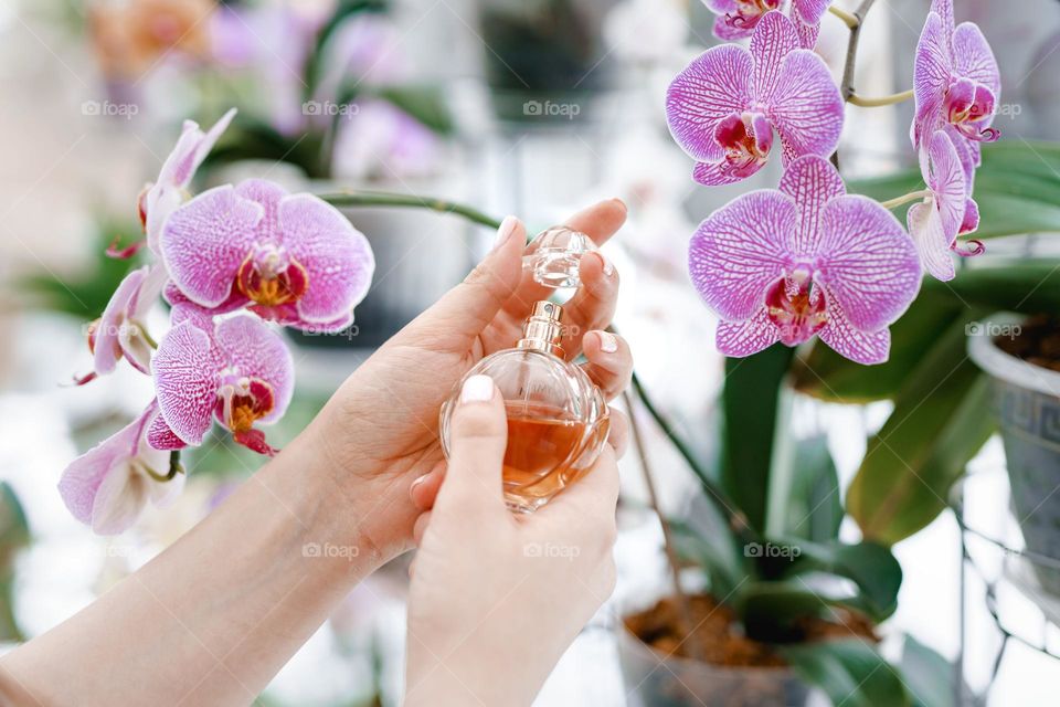 Woman hands holding a bottle of perfume. Feminine and elegance