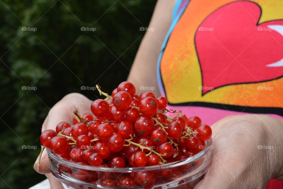 red cranberries in the female hands summer food, summer time love 😍
