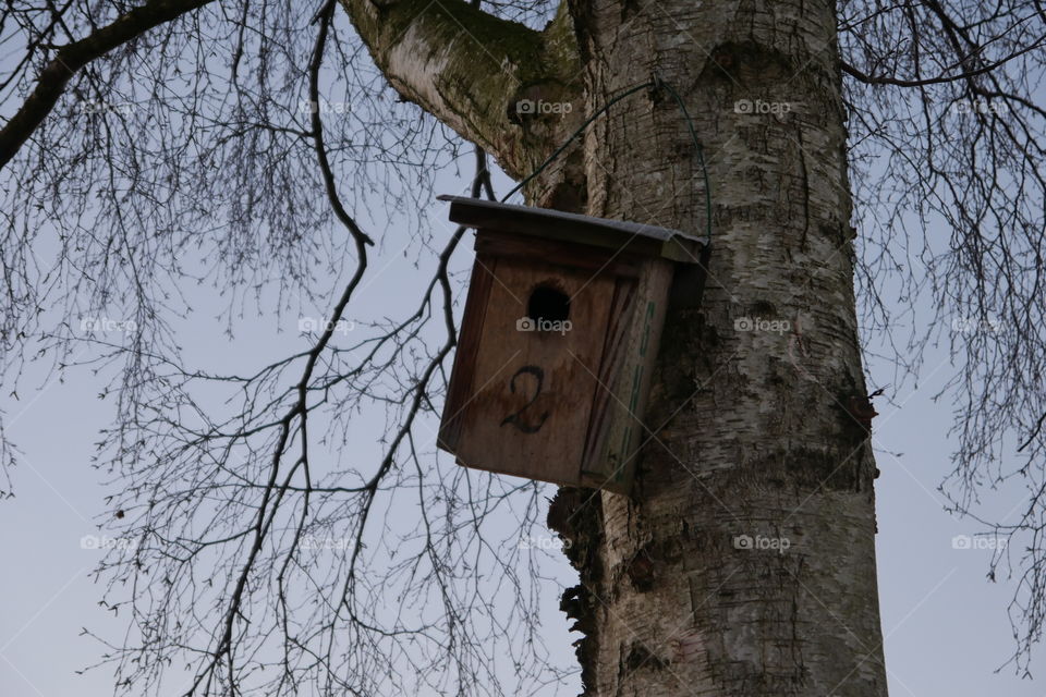 Birdhouse 