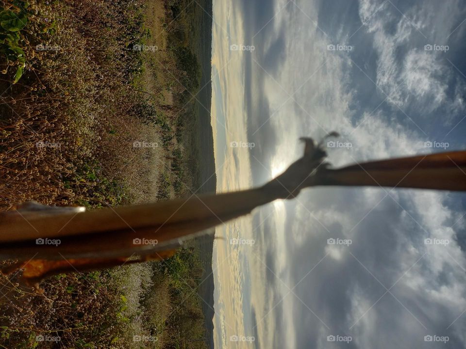 'The scorching sun is the fuel of the northeast, brave people, who do not fear the heat, who make their pain their constant joy!'- Anonymous