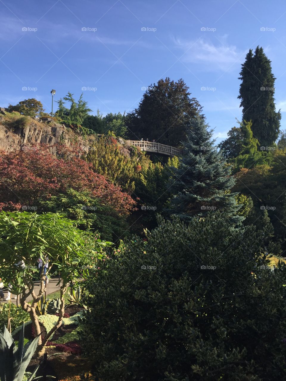 Looking up at the bridge over the waterfall from the main quarry garden at Queen Elizabeth Park in Vancouver, British Columbia 