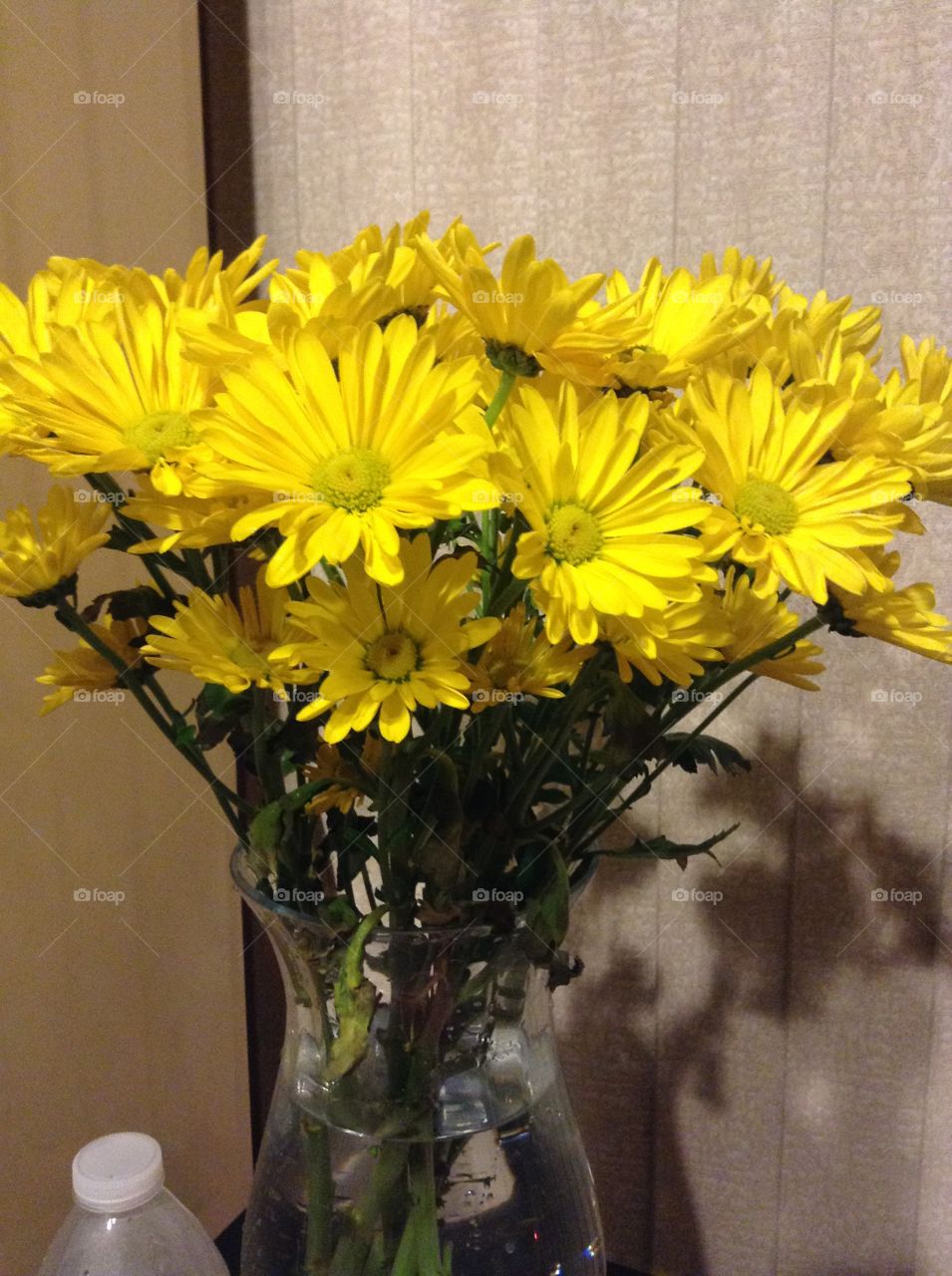 Beautiful Yellow Flowers! 