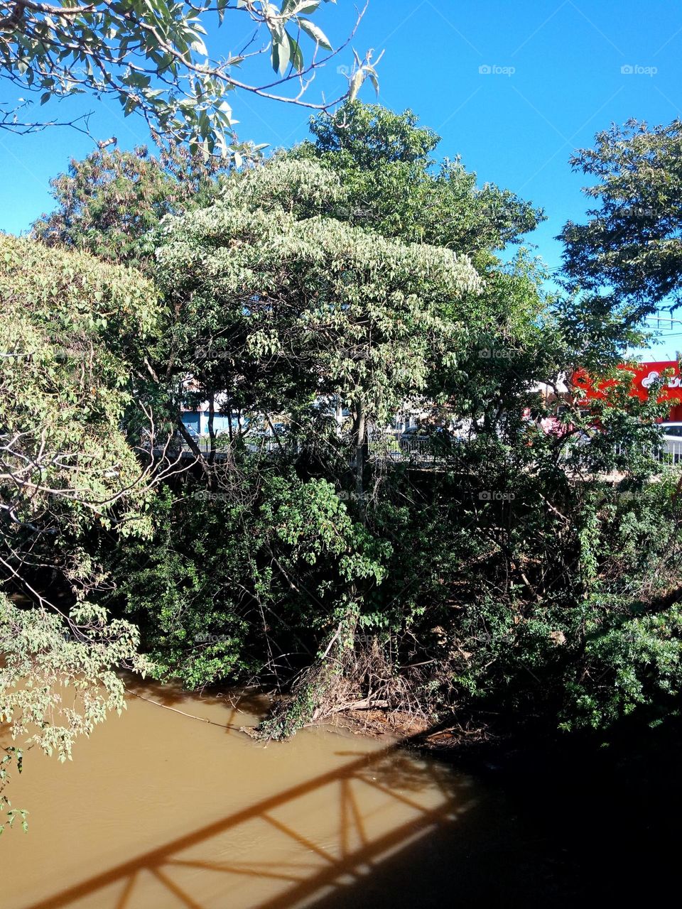 banks from Camandocaia river in Amparo-SP.