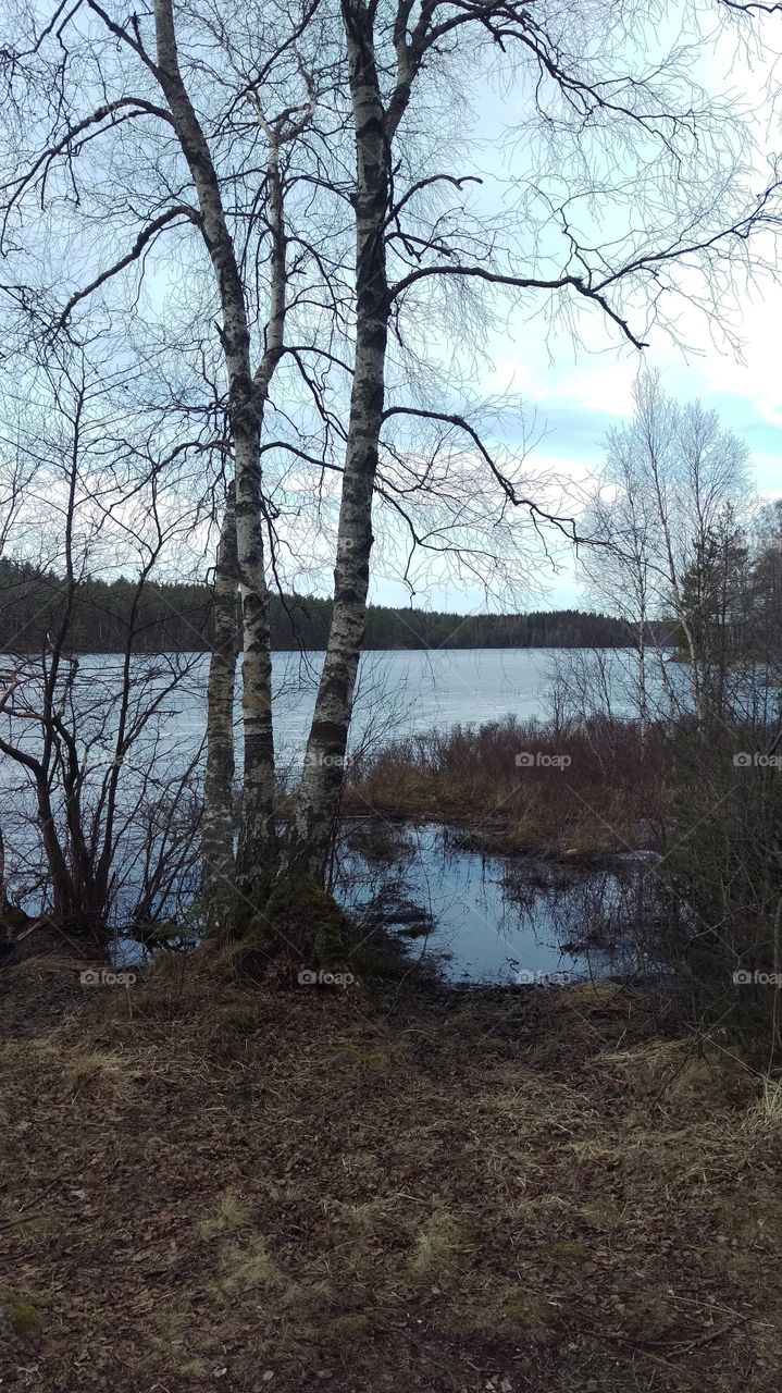 Lövsjön lake view, Västerbotten, Sweden 