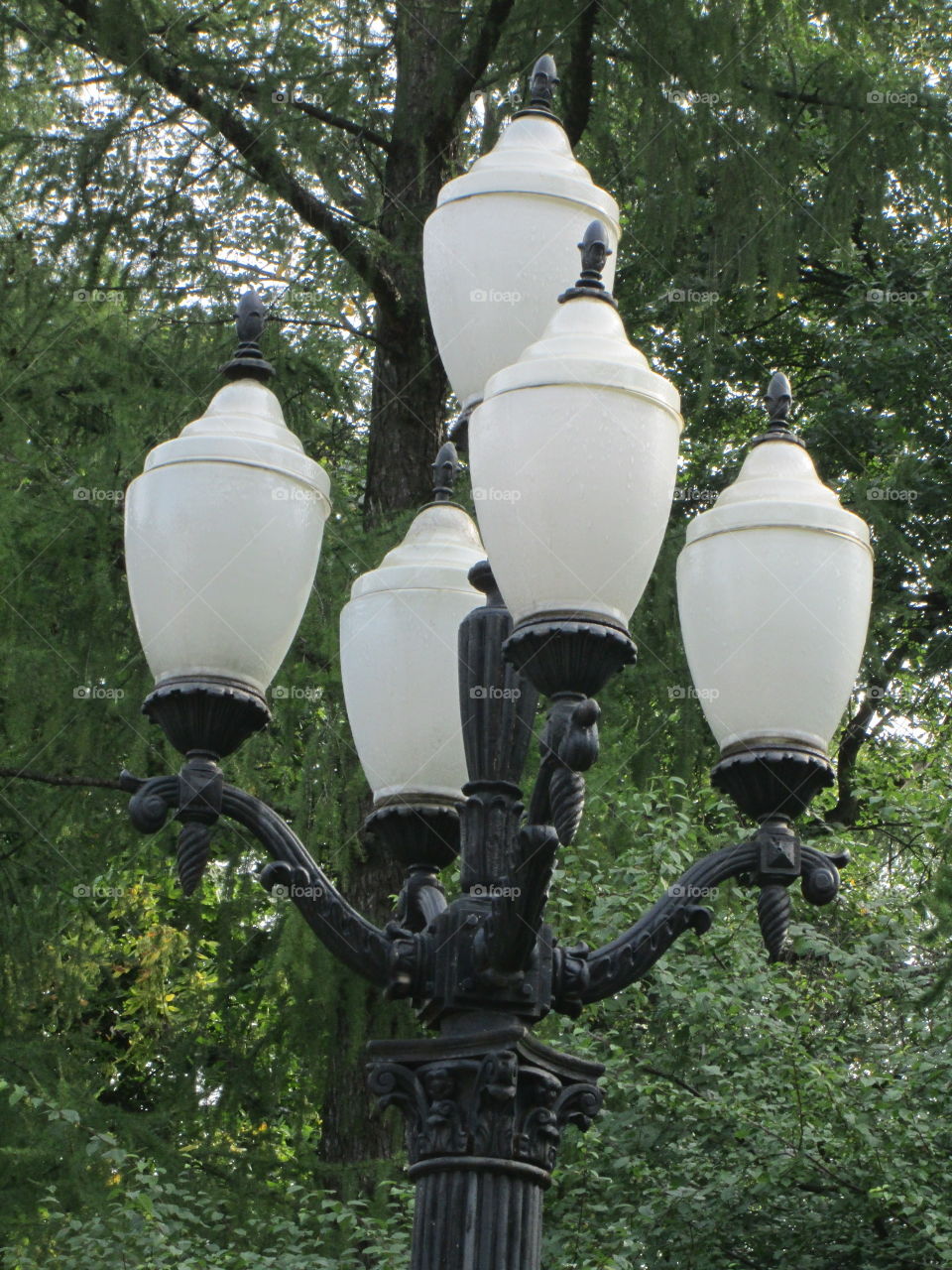 Lamppost in front of the trees.