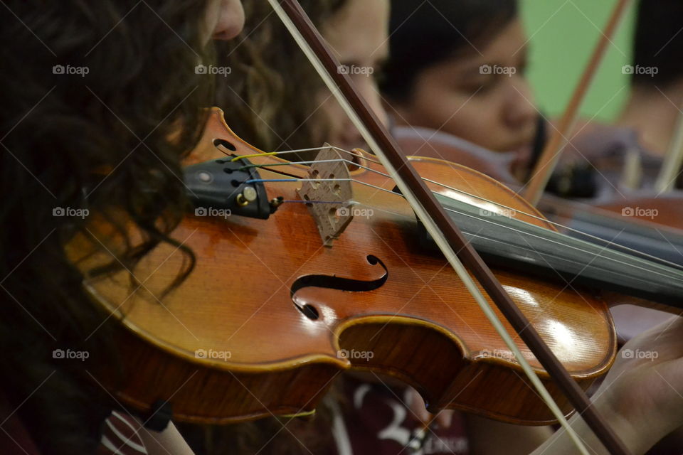 Violin, Violinist, Instrument, Music, Bowed Stringed Instrument
