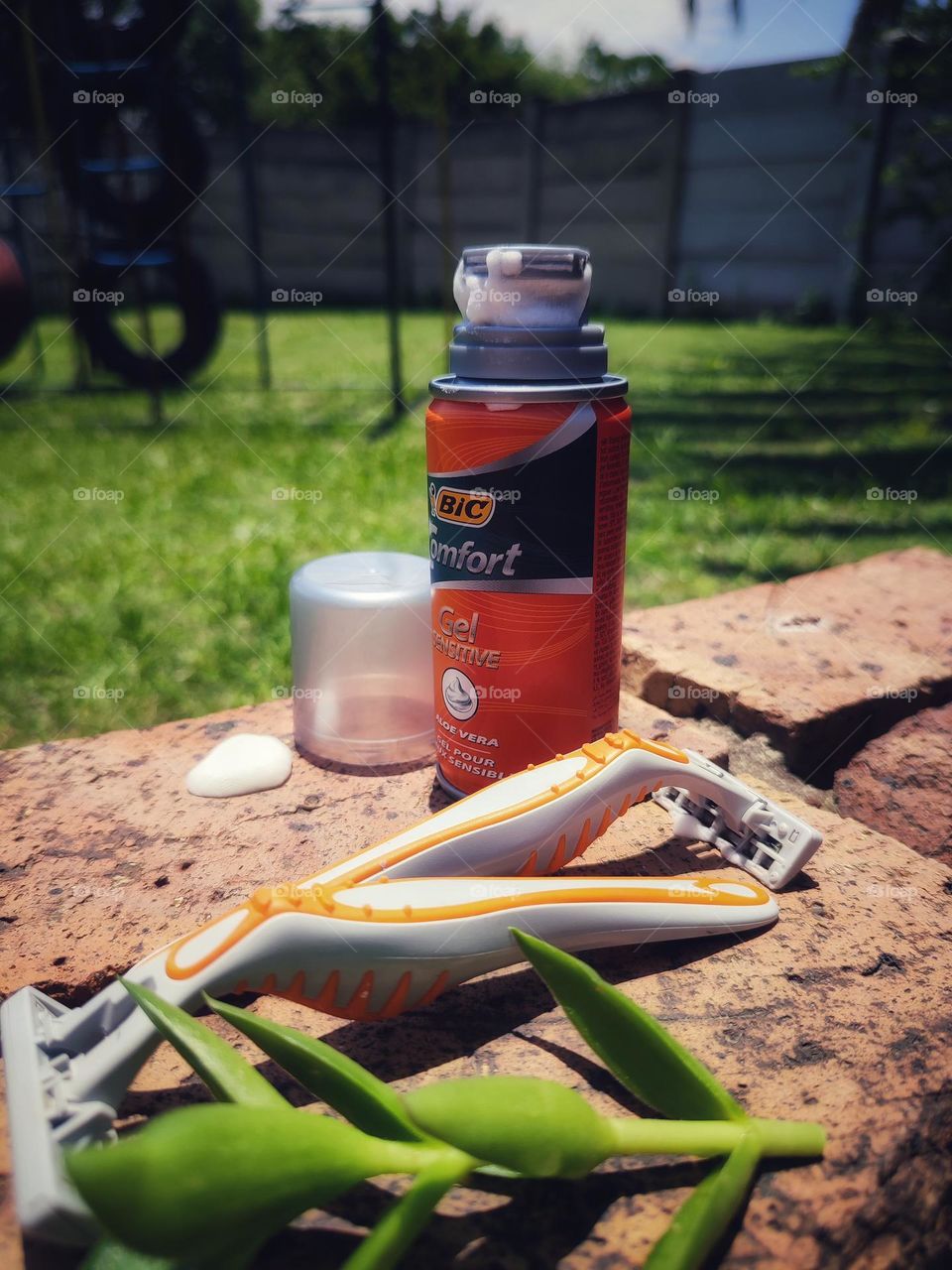 Shaving cream and razors