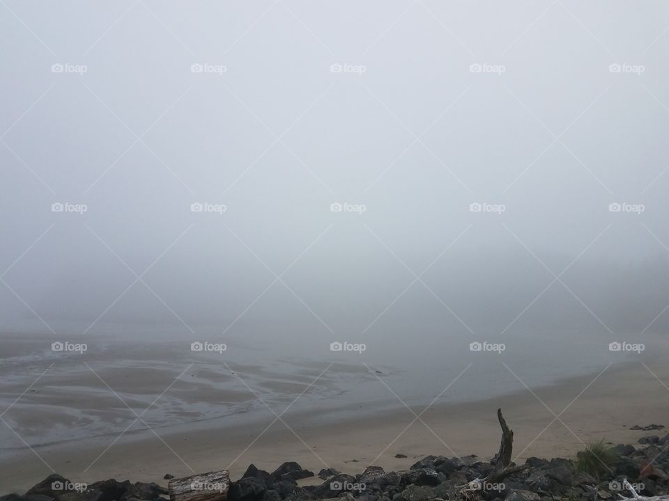 foggy morning view on the beach