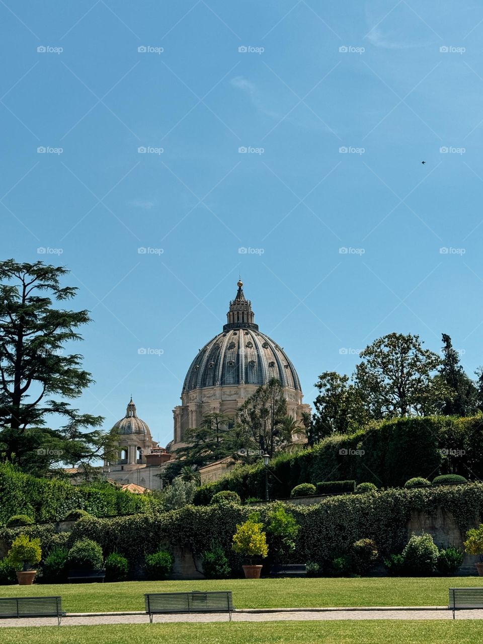 Perfect view of the dome of St. Peter's Cathedral in the Vatican, Italy