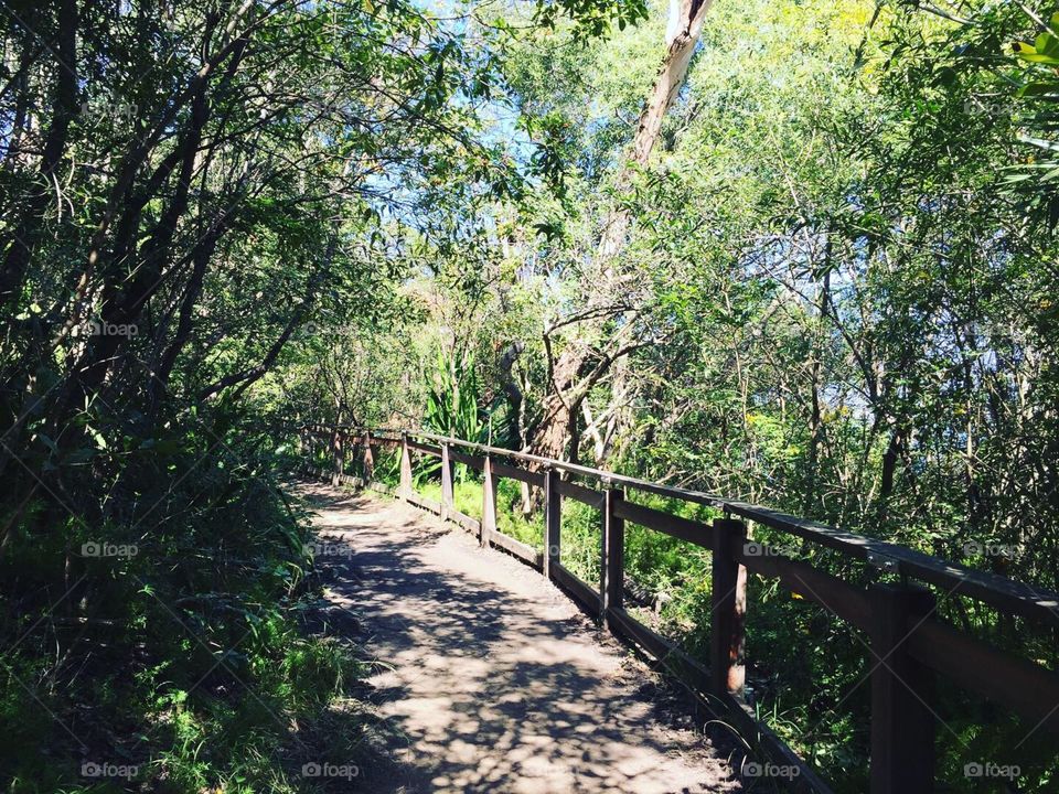 Bradley Heads walking path Sydney 