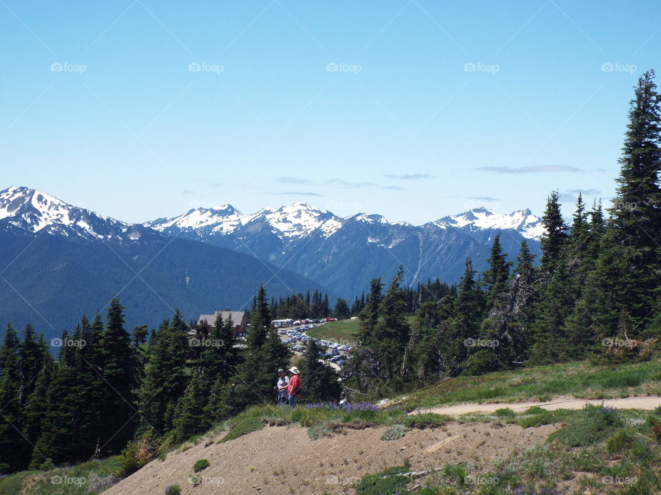 Olympic National Park.