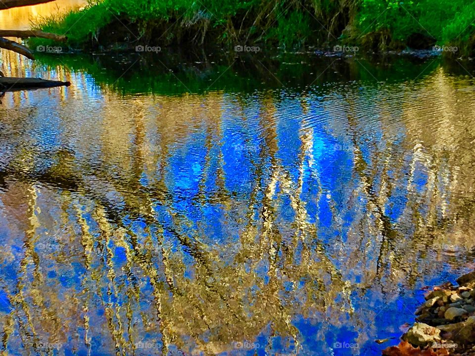 Reflection of fall in the water