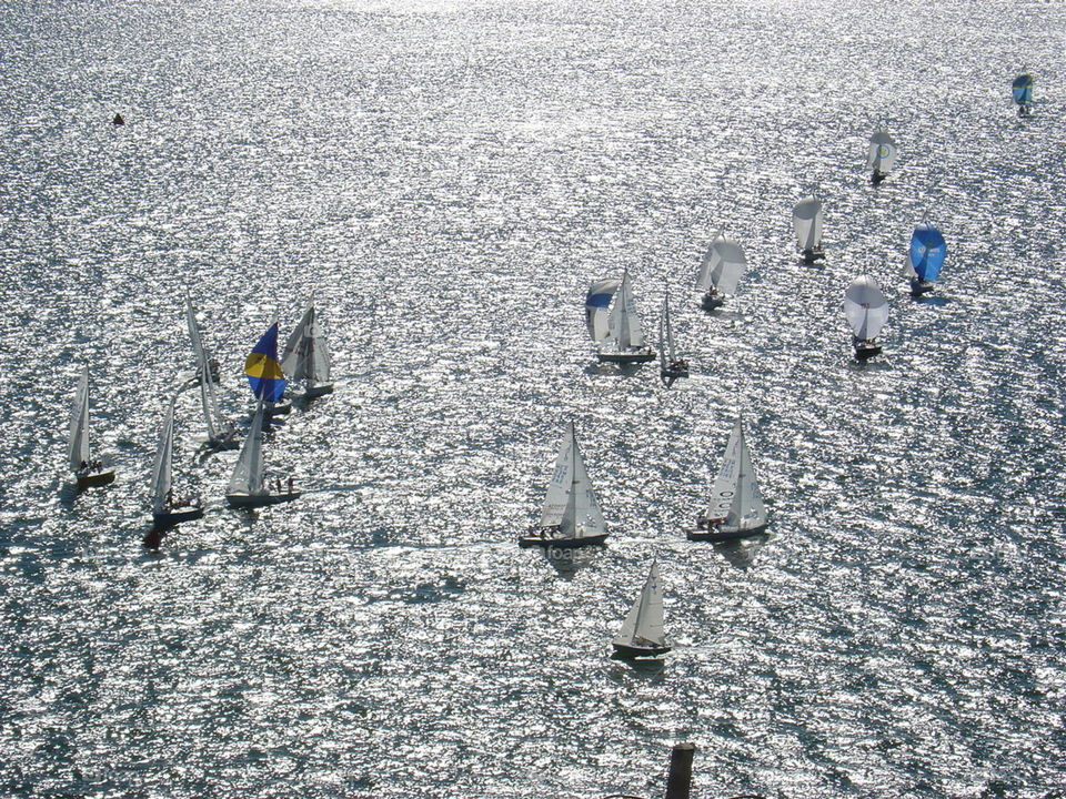 Regata 