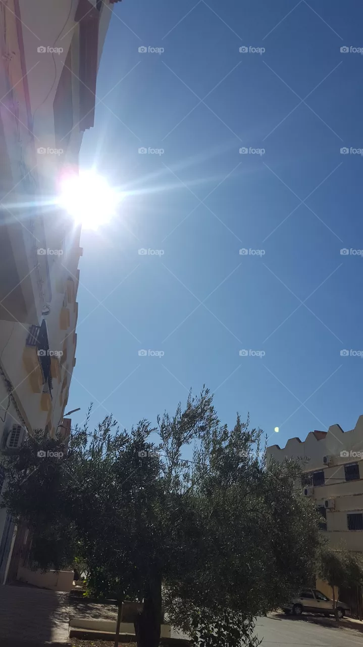 sun