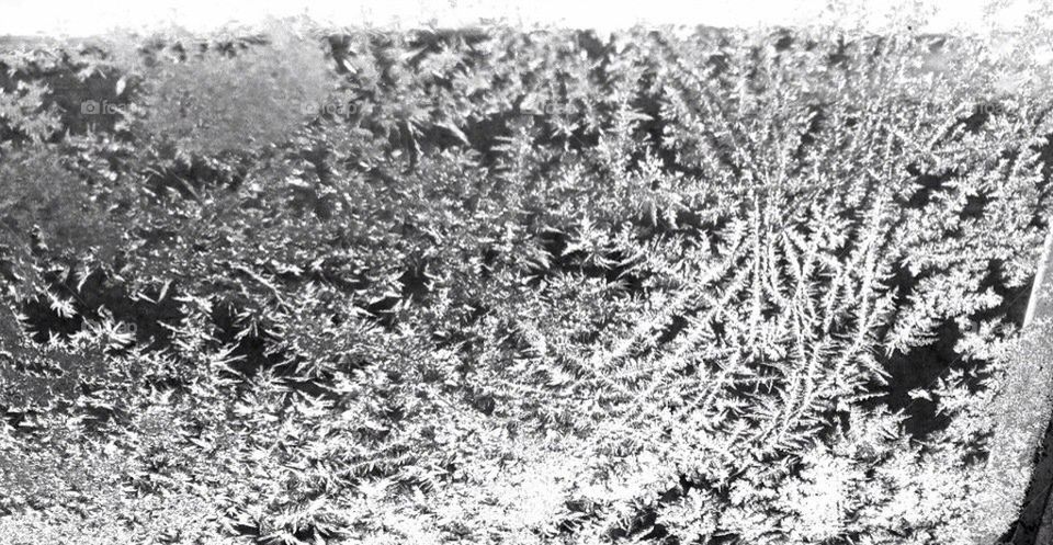 Ice crystals