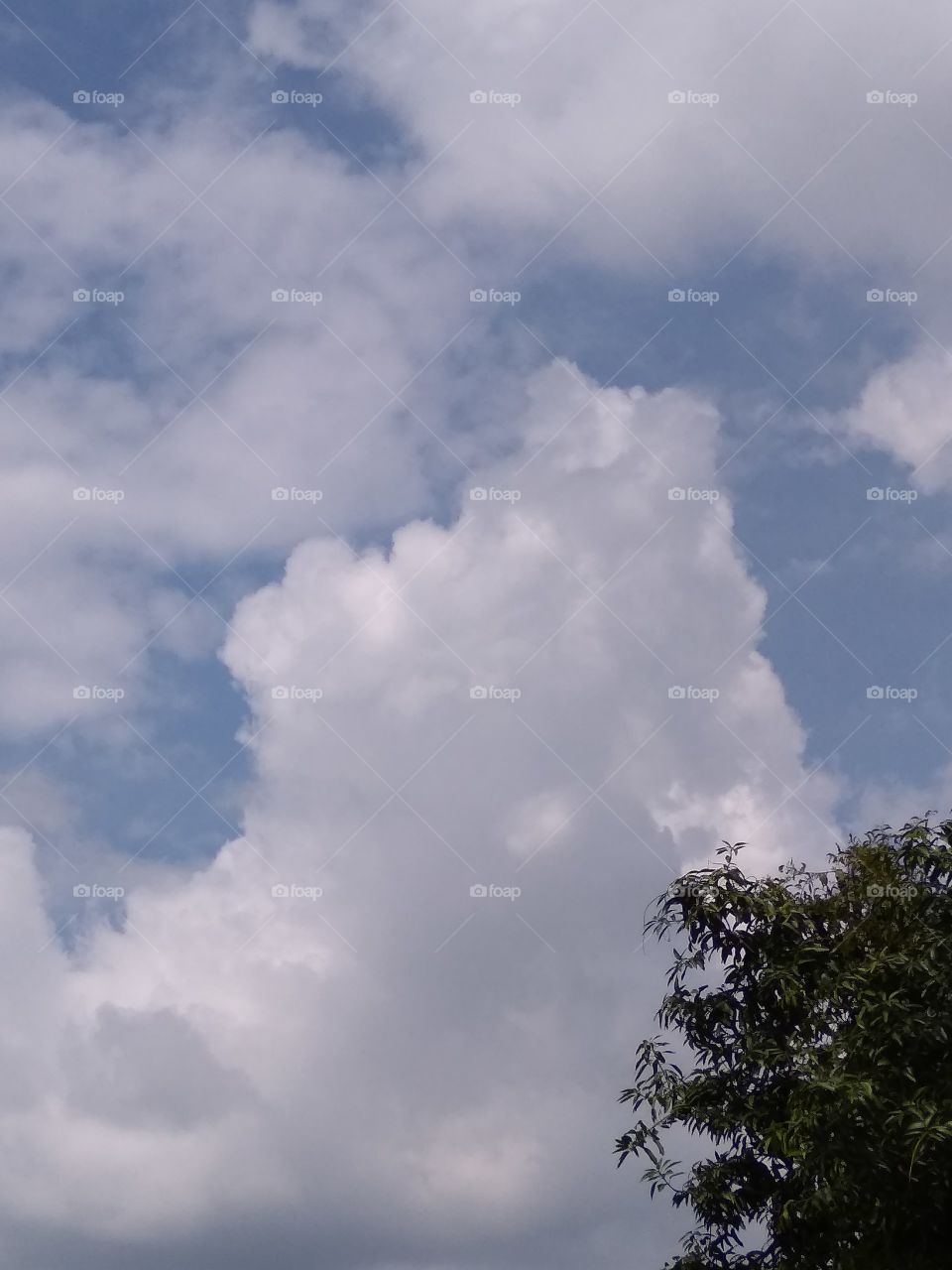 Cool clouds in the sky