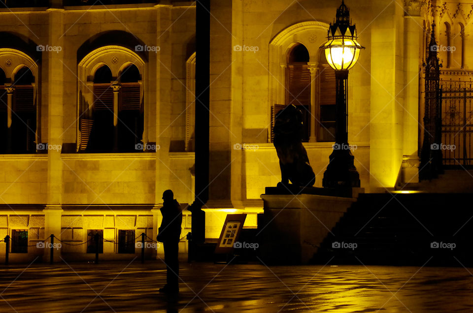 Silhouette of a male adult talking on his mobile phone while standing in front of the illuminated Hungarian Parliament Building in Budapest.