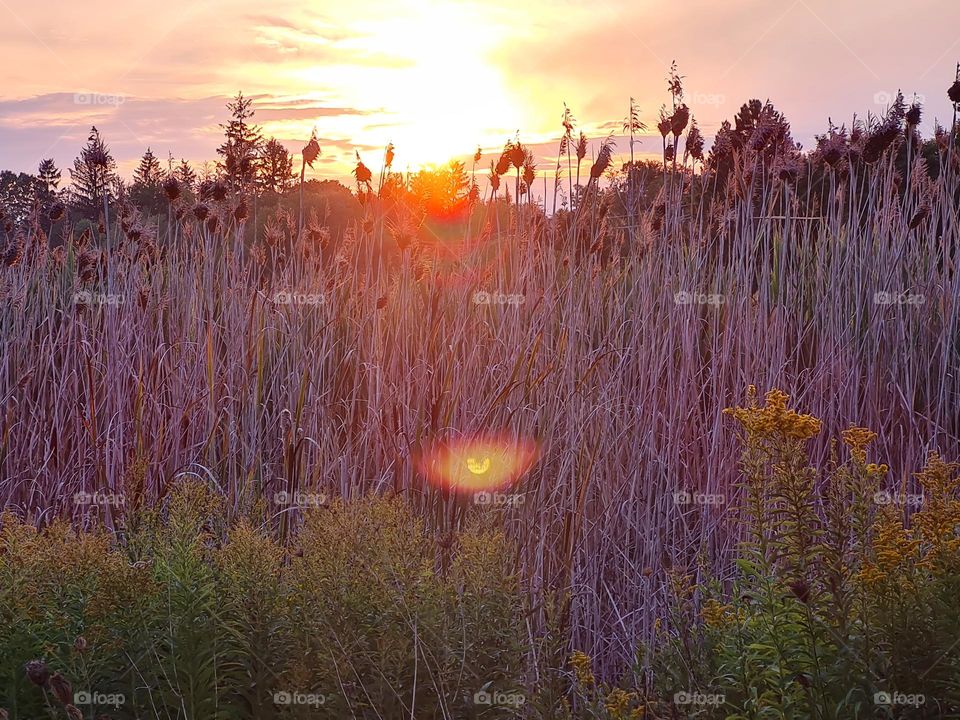 Fall Sunset