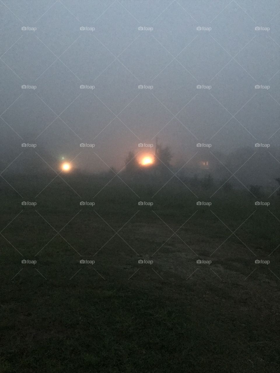Night of Fog