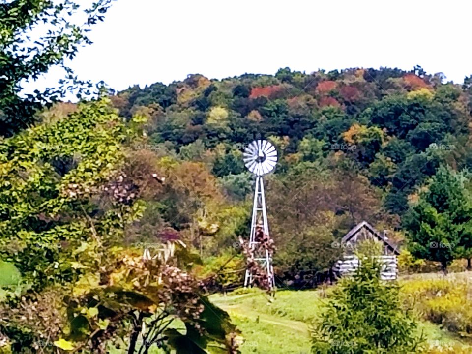 Driving the Back Roads and enjoying everything around us