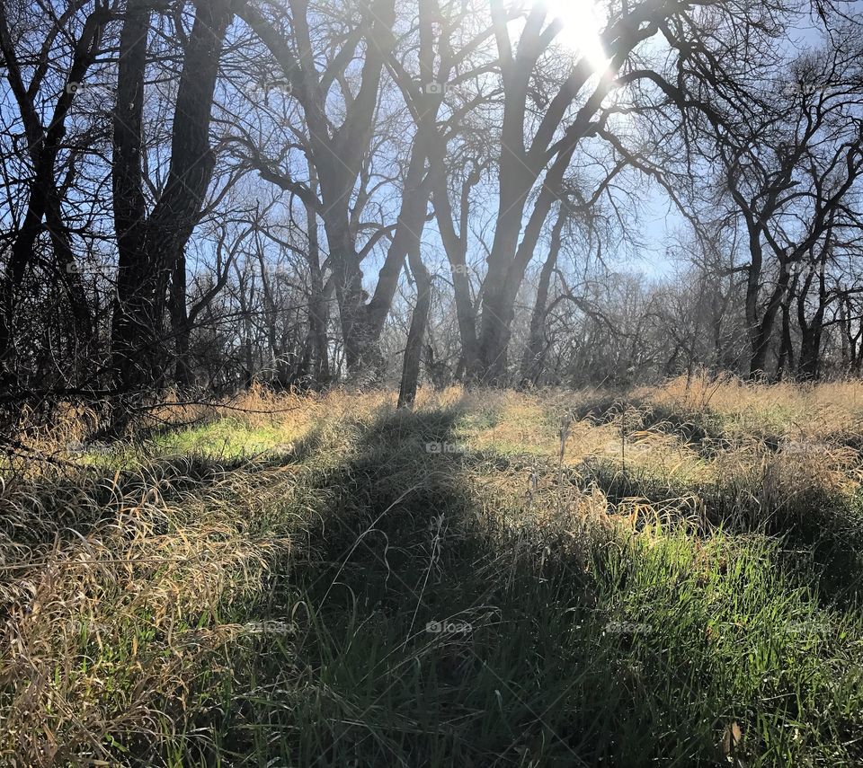 Poudre River Trail in Fort Collins, Colorado. 