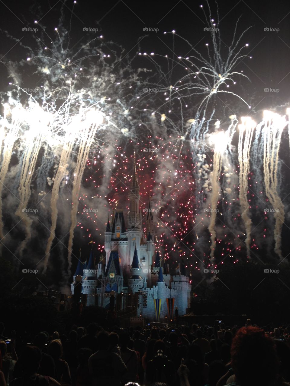 Walt Disney World Magic Kingdom Vacation