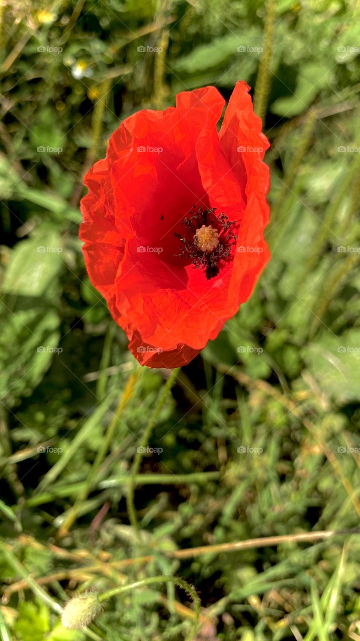 Edit with iPhone 11 Pro Max 