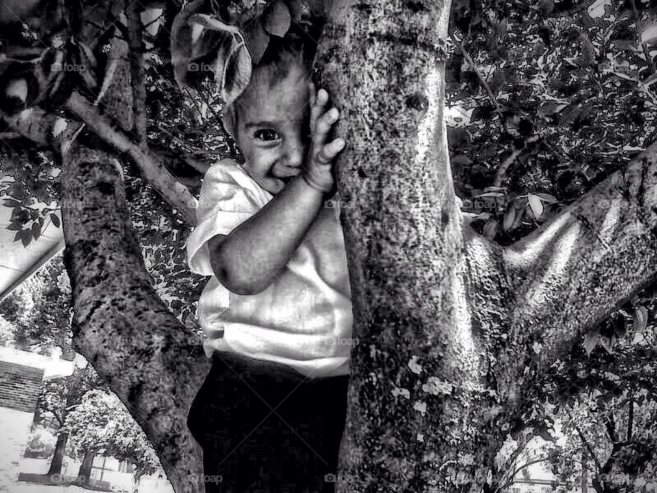 Baby in the tree