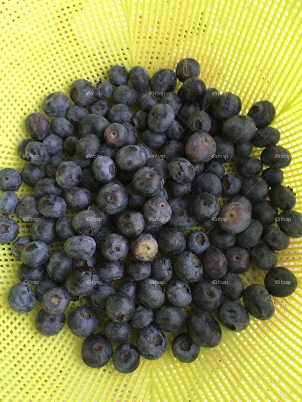 Blueberrys