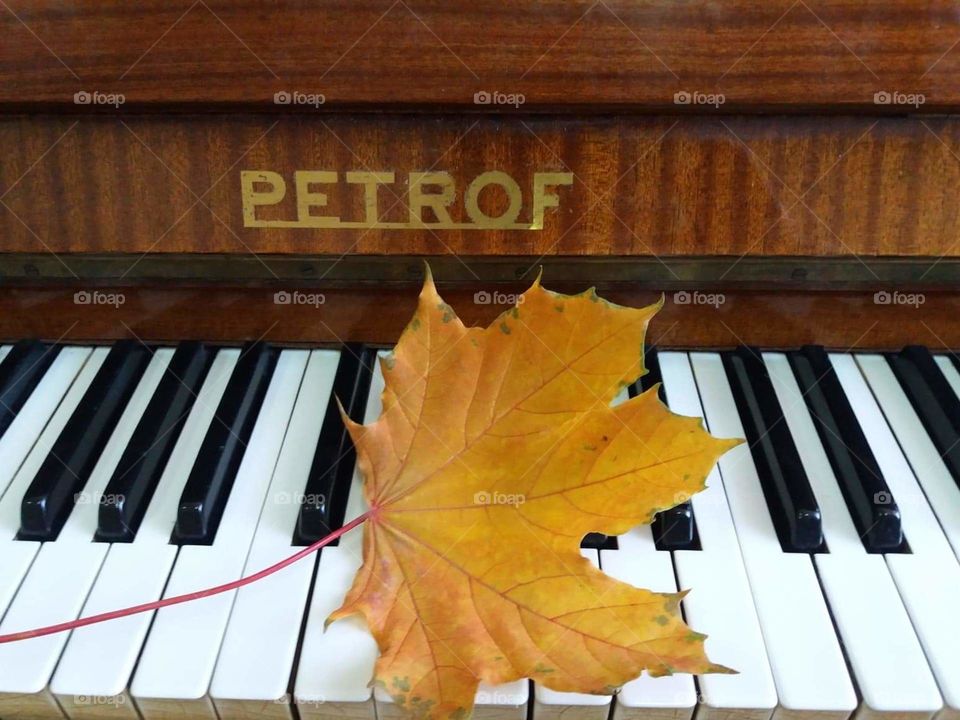 Осенний лист на пианино