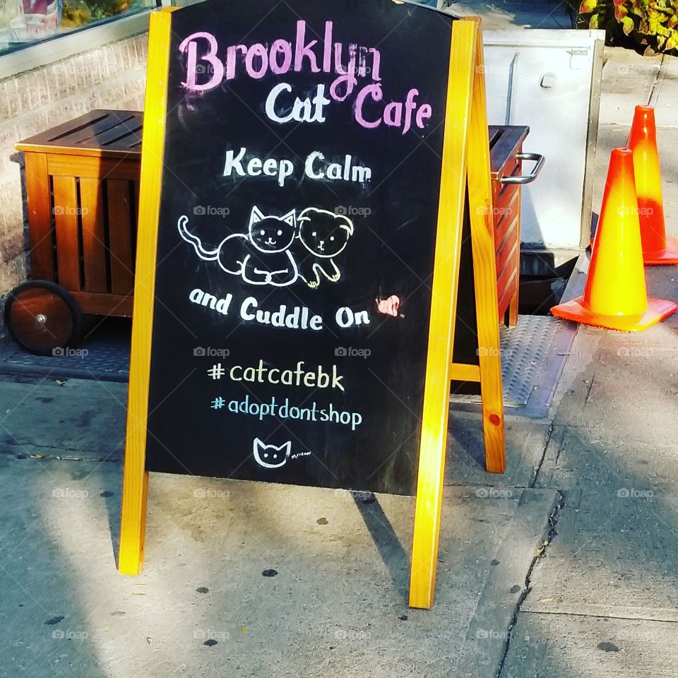cat cafe bk